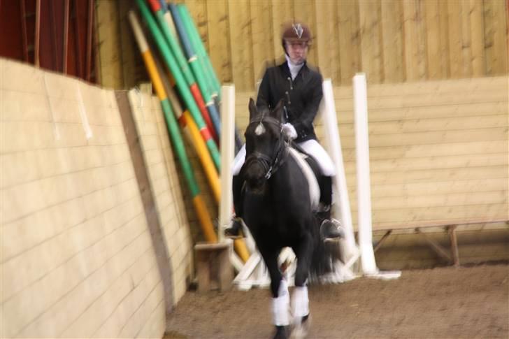 Stævne på Enggården 09 Dressur (rideskolen) billede 167