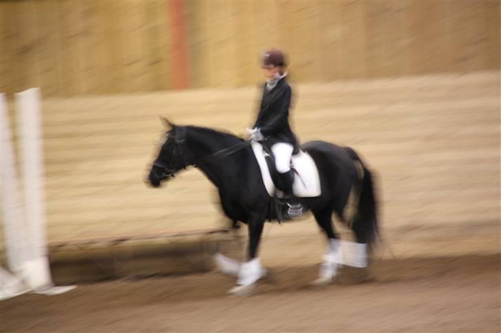 Stævne på Enggården 09 Dressur (rideskolen) billede 168