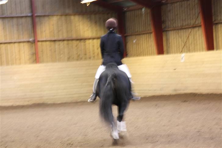 Stævne på Enggården 09 Dressur (rideskolen) billede 169