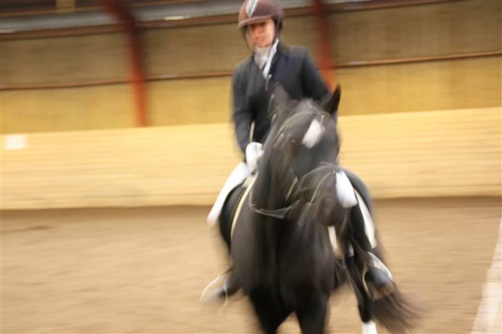 Stævne på Enggården 09 Dressur (rideskolen) billede 170