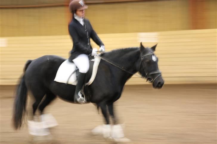 Stævne på Enggården 09 Dressur (rideskolen) billede 171