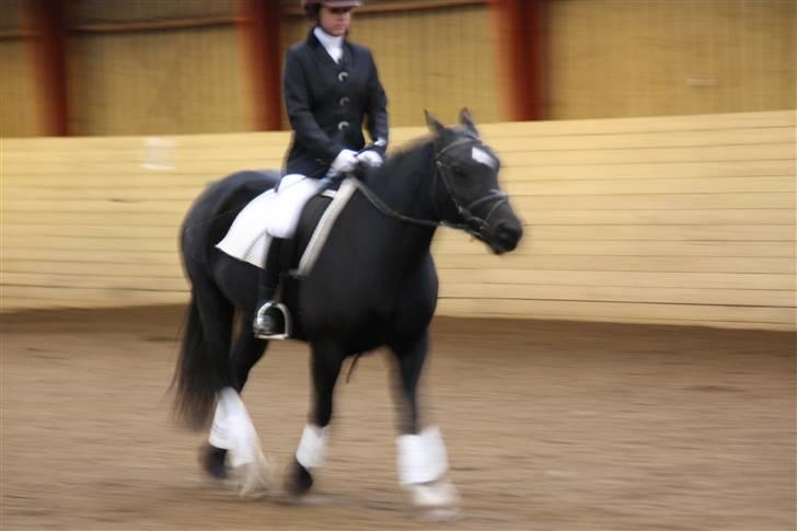 Stævne på Enggården 09 Dressur (rideskolen) billede 172