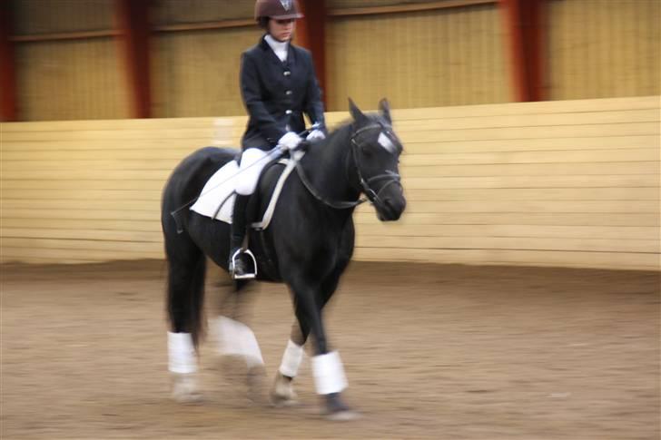 Stævne på Enggården 09 Dressur (rideskolen) billede 173