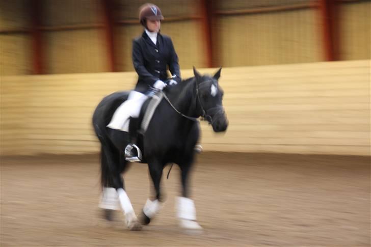 Stævne på Enggården 09 Dressur (rideskolen) billede 174