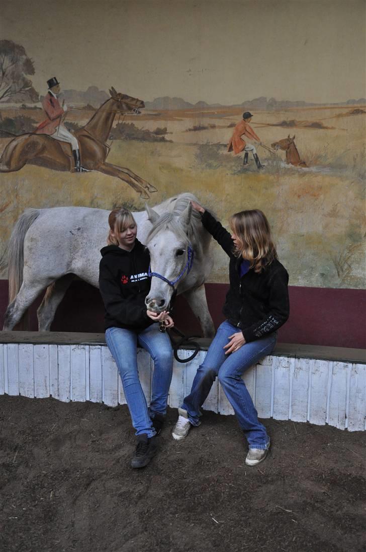 Chiara besøger Gentofte Rideklub - Chiara får en lille guffer billede 9