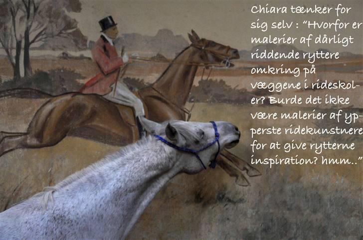 Chiara besøger Gentofte Rideklub - Chiara undre sig over sportens vægbilleder
hvilket vi andre også gjorde - alle hestene har åben mund, bliver pisken eller løber løbst - FEDE forbilleder billede 1
