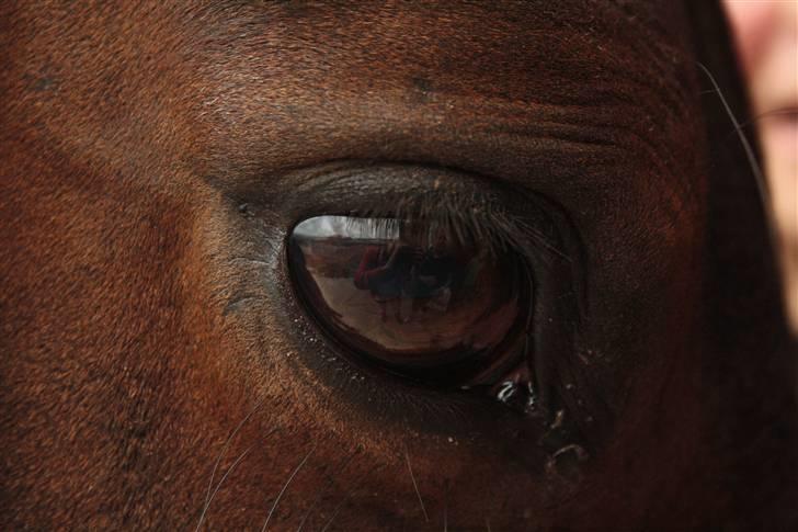 Joy - Ka du virkelig se mig?<3 billede 14