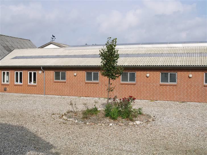 Stutteri Skærgården - Den nye stald billede 3