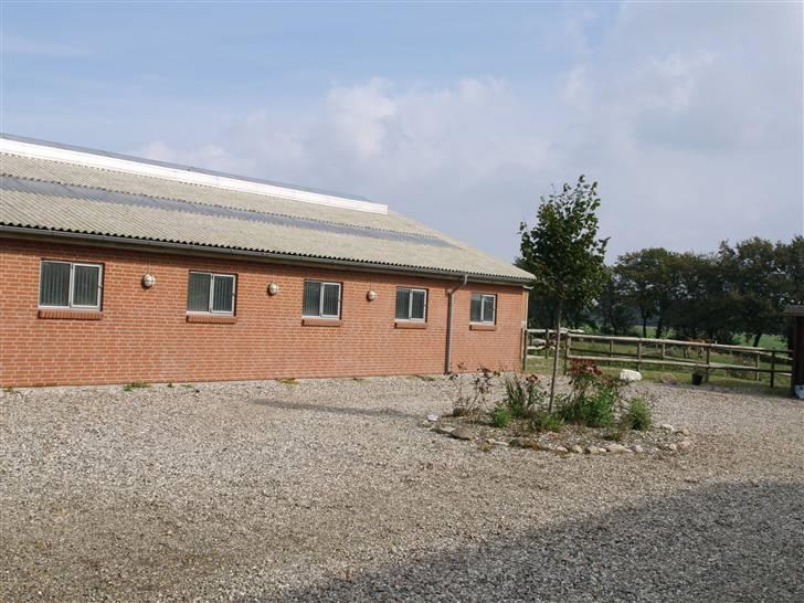 Stutteri Skærgården - Den nye stald billede 4