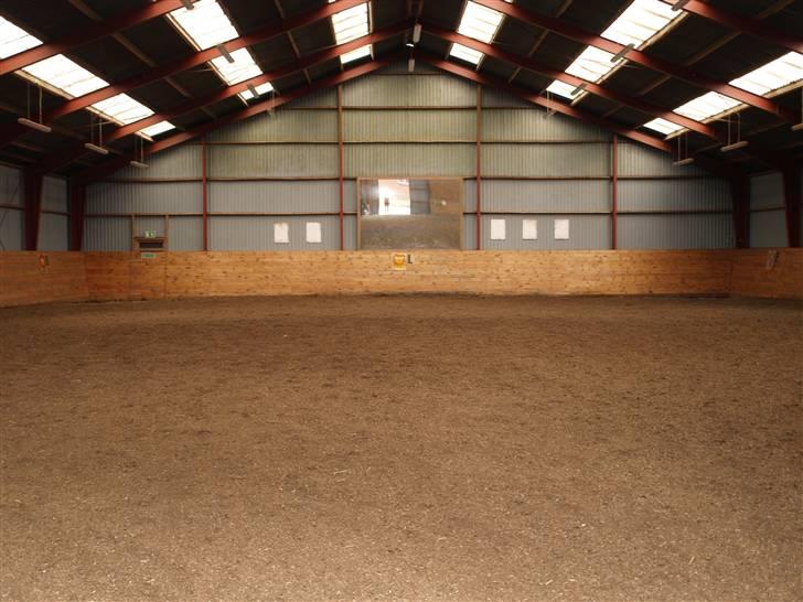 Stutteri Skærgården - Den gamle ridehal billede 6