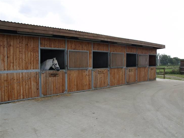 Stutteri Skærgården - Udeboksene billede 8