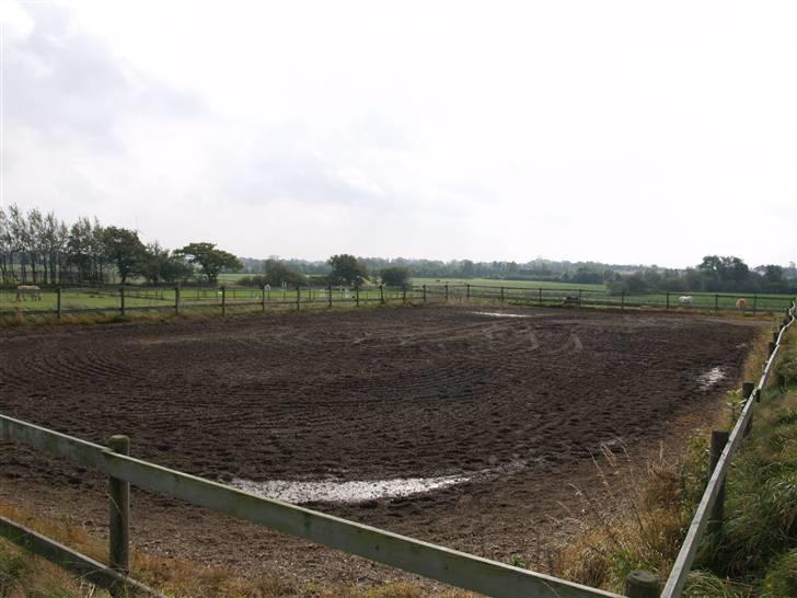 Stutteri Skærgården - Den udendørs ridebane billede 9