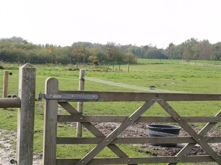 Stutteri Skærgården - En af foldene billede 11