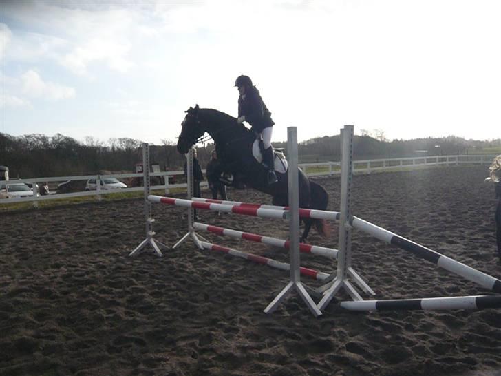 Skovvang Rideklub - D. 15 November +09 billede 1