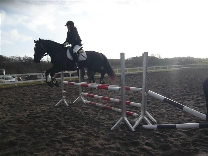 Skovvang Rideklub - D. 15 November +09 billede 2