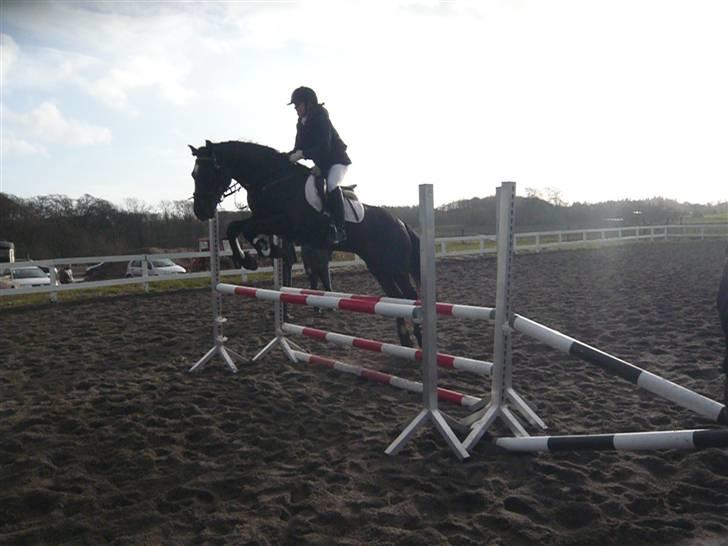 Skovvang Rideklub - D. 15 November +09 billede 3