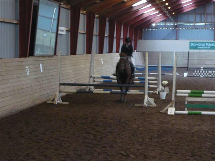 Skovvang Rideklub - D. 15 November +09 billede 13