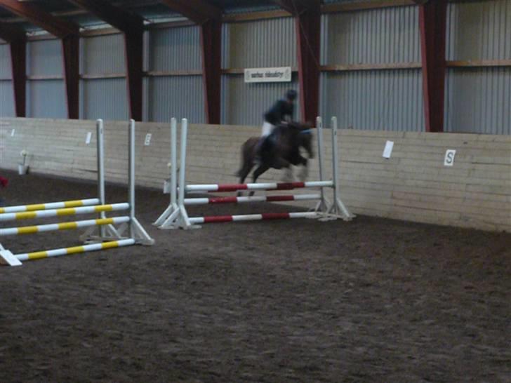 Skovvang Rideklub - D. 15 November +09 billede 14