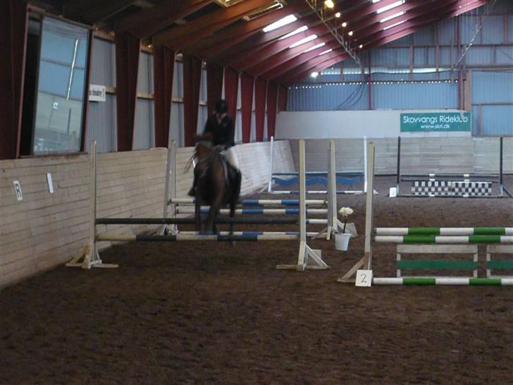 Skovvang Rideklub - D. 15 November +09 billede 15