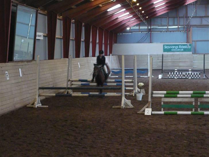 Skovvang Rideklub - D. 15 November +09 billede 16