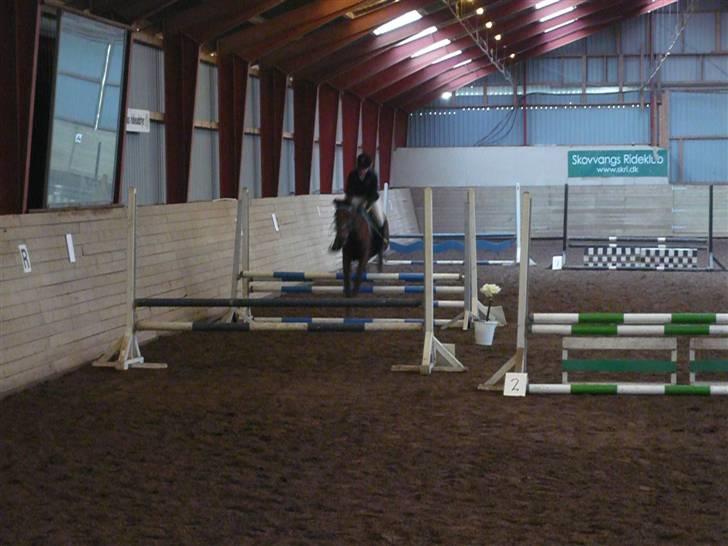 Skovvang Rideklub - D. 15 November +09 billede 17