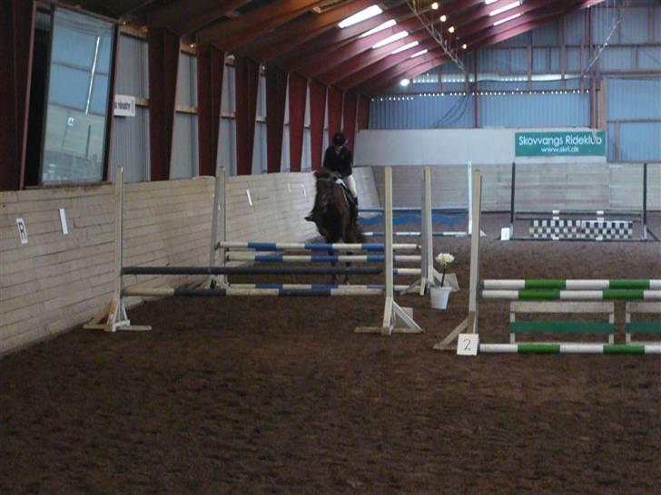 Skovvang Rideklub - D. 15 November +09 billede 18
