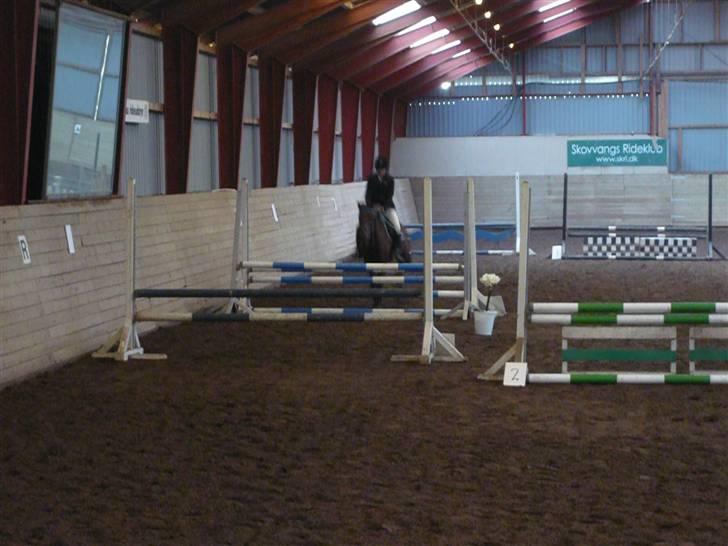 Skovvang Rideklub - D. 15 November +09 billede 19