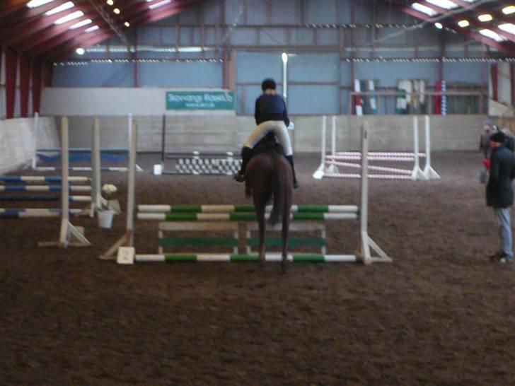 Skovvang Rideklub - D. 15 November +09 billede 20