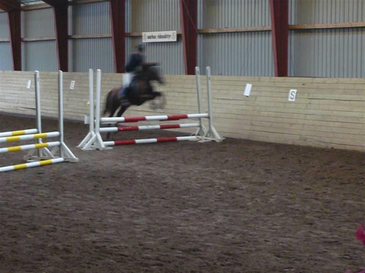 Skovvang Rideklub - D. 15 November +09 billede 21