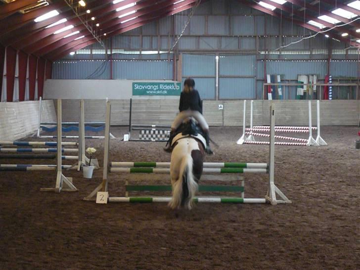 Skovvang Rideklub - D. 15 November +09 billede 22