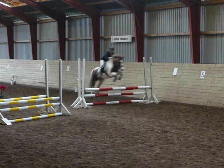 Skovvang Rideklub - D. 15 November +09 billede 23