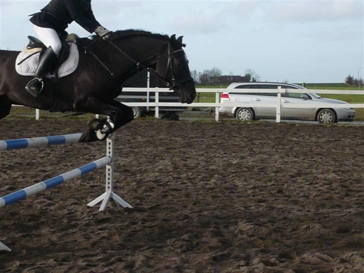 Skovvang Rideklub - D. 15 November +09 billede 24