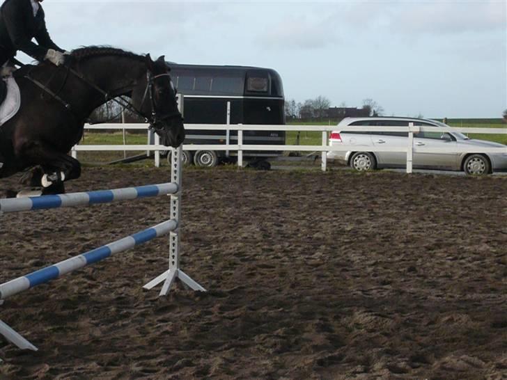 Skovvang Rideklub - D. 15 November +09 billede 25