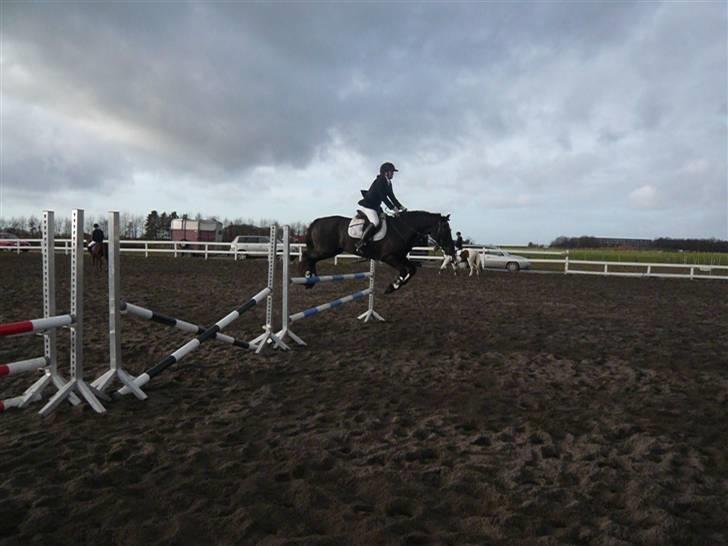 Skovvang Rideklub - D. 15 November +09 billede 26