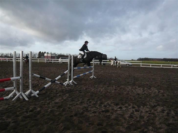 Skovvang Rideklub - D. 15 November +09 billede 27