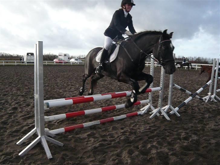 Skovvang Rideklub - D. 15 November +09 billede 28