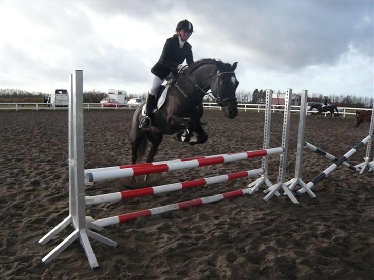 Skovvang Rideklub - D. 15 November +09 billede 29