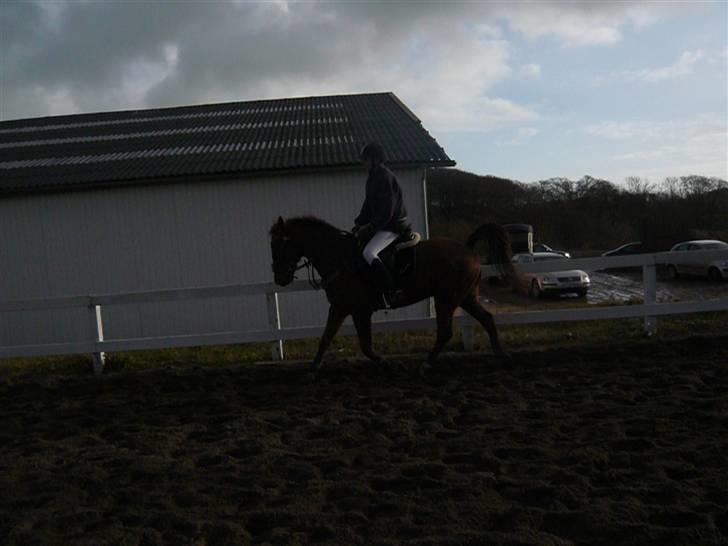 Skovvang Rideklub - D. 15 November +09 billede 38
