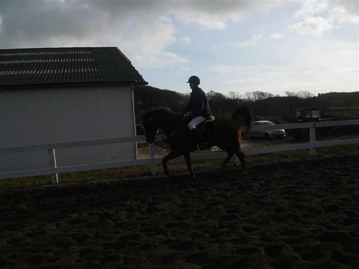 Skovvang Rideklub - D. 15 November +09 billede 40