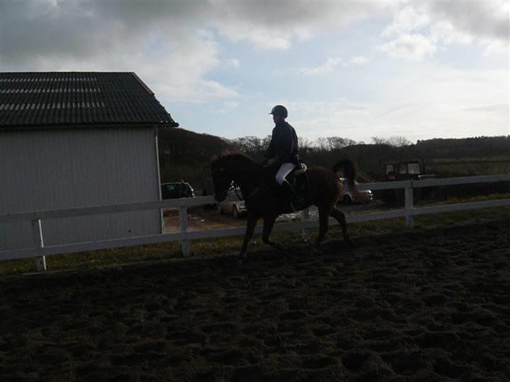 Skovvang Rideklub - D. 15 November +09 billede 41