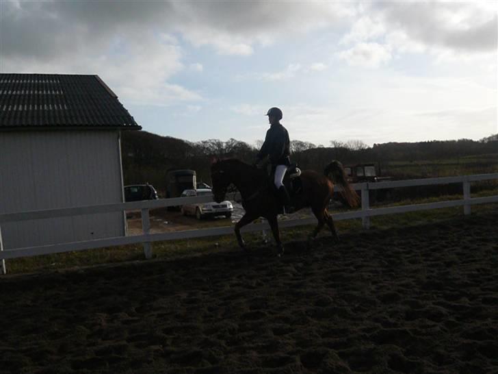 Skovvang Rideklub - D. 15 November +09 billede 42