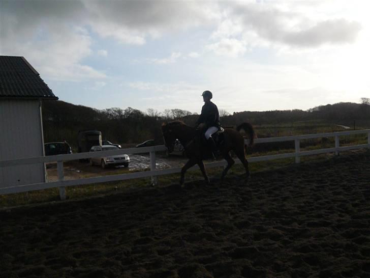 Skovvang Rideklub - D. 15 November +09 billede 43