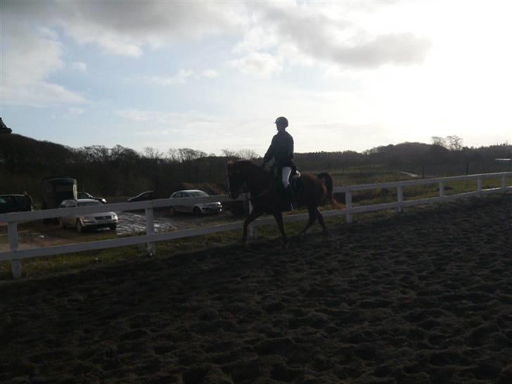 Skovvang Rideklub - D. 15 November +09 billede 44