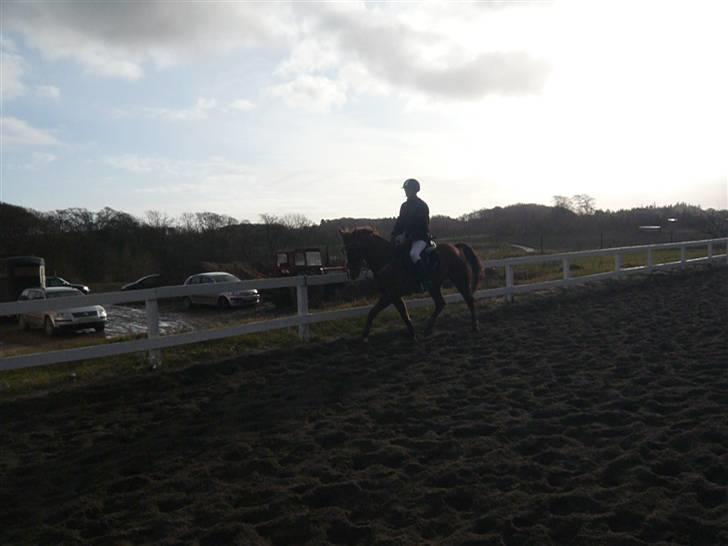 Skovvang Rideklub - D. 15 November +09 billede 45