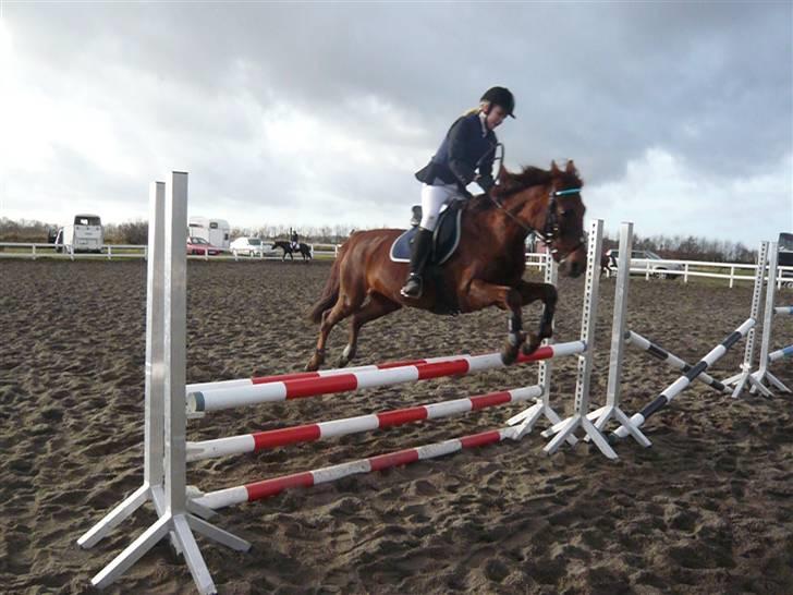 Skovvang Rideklub - D. 15 November +09 billede 46