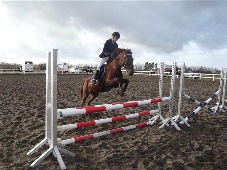 Skovvang Rideklub - D. 15 November +09 billede 47