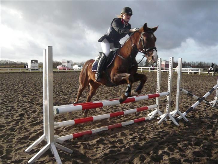 Skovvang Rideklub - D. 15 November +09 billede 48