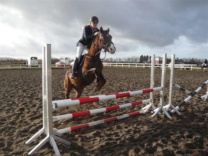 Skovvang Rideklub - D. 15 November +09 billede 49