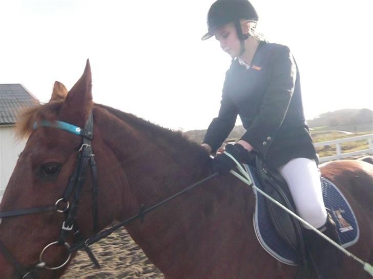 Skovvang Rideklub - D. 15 November +09 billede 50