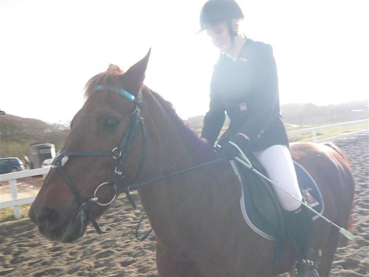 Skovvang Rideklub - D. 15 November +09 billede 51